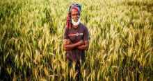 <font style='color:#000000'>Government announces TK 39.62 crore for farmers</font>