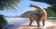 <font style='color:#000000'>Newly discovered dinosaur links Africa and Europe</font>
