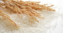 <font style='color:#000000'>Rice imports hit record high</font>