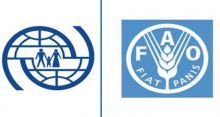 <font style='color:#000000'>IOM, FAO to support agricultural livelihoods</font>