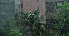 <font style='color:#000000'>Rain, thunderstorm likely to continue till Wednesday</font>