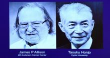 Nobel Prize in Medicine to American, Japanese